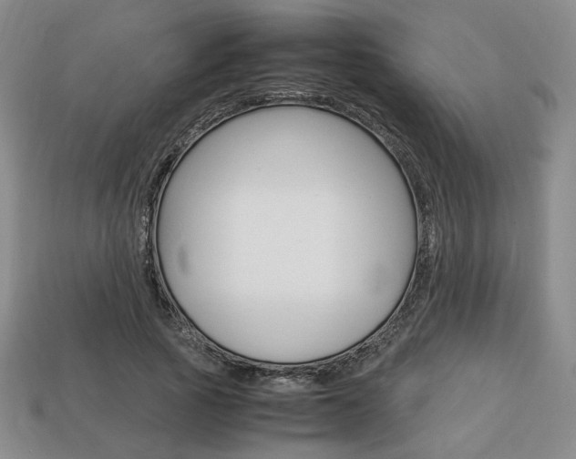 X0000113850737200909241004