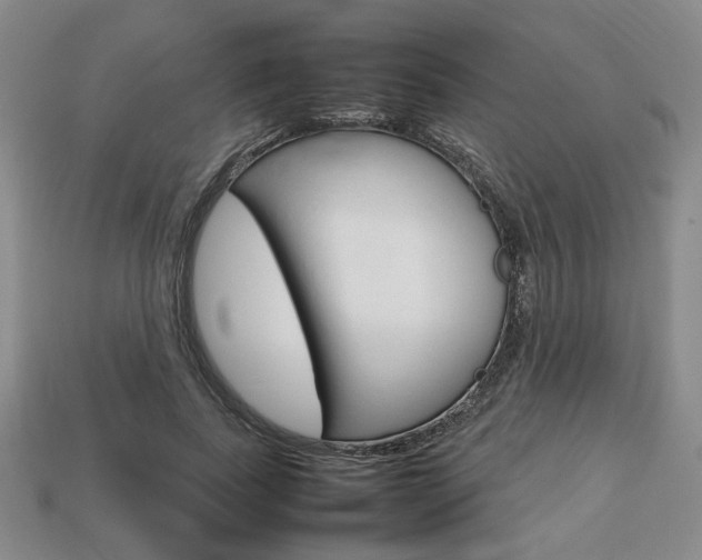 X0000113850739200909241004