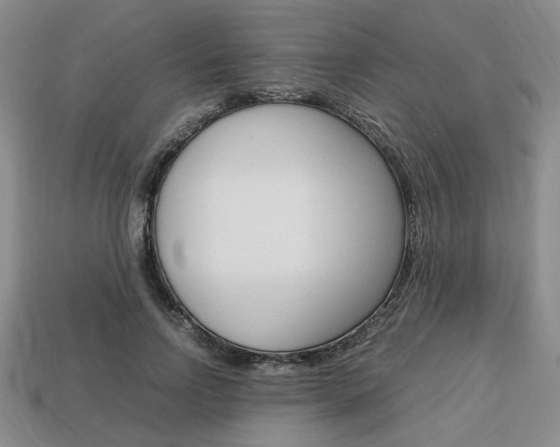 X0000113850742200909241004