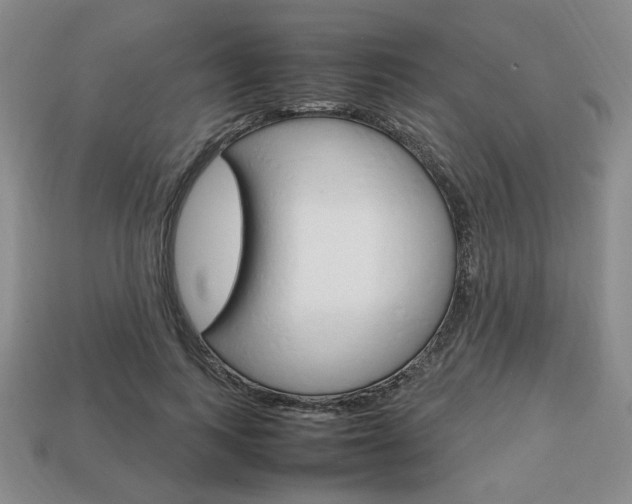 X0000113850743200909241004