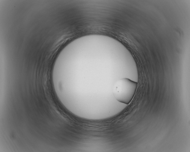 X0000113850744200909241004