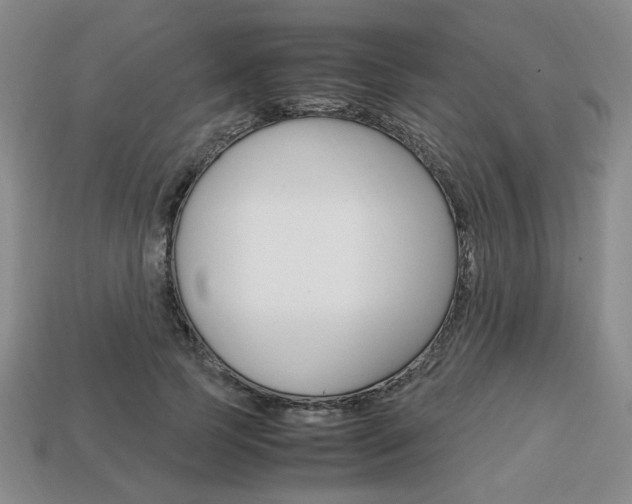 X0000113850745200909241004