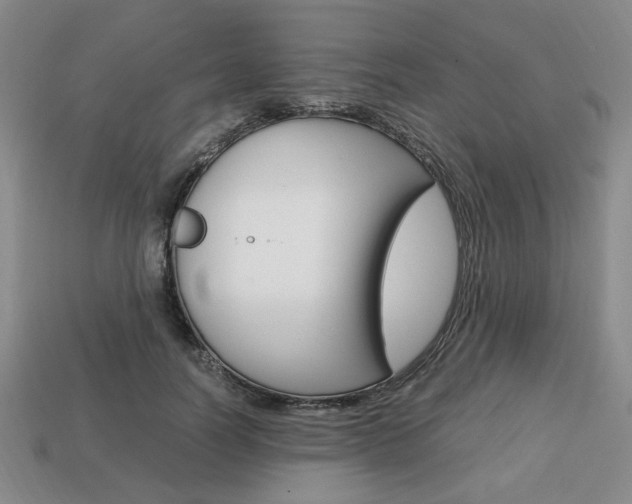 X0000113850746200909241004