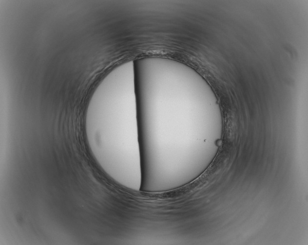 X0000113850747200909241005