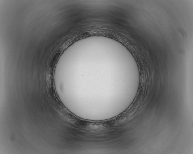 X0000113850749200909241005