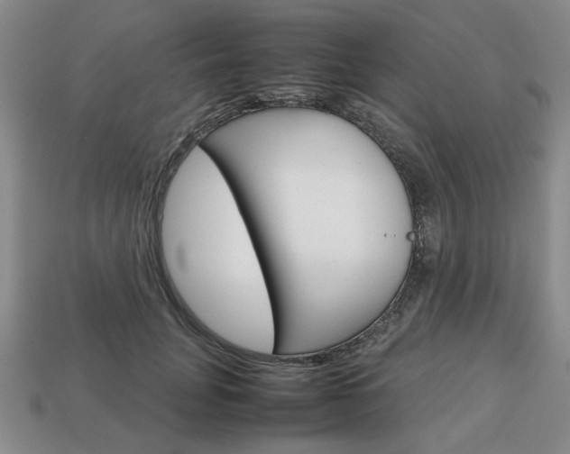 X0000113850751200909241005