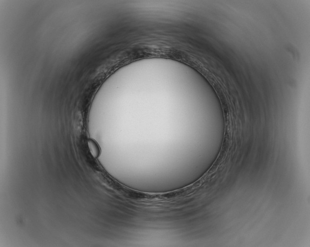 X0000113850752200909241005