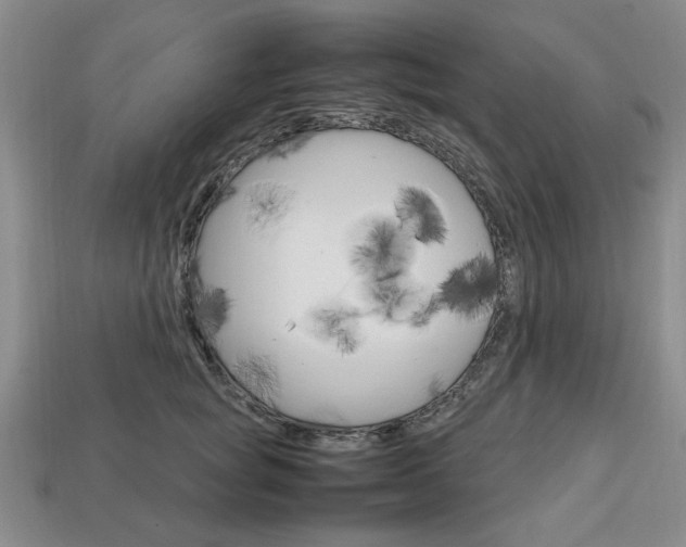 X0000113850757200909241005