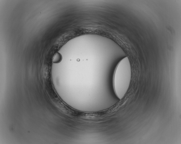 X0000113850758200909241005