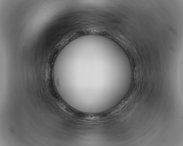 X0000113850760200909241005