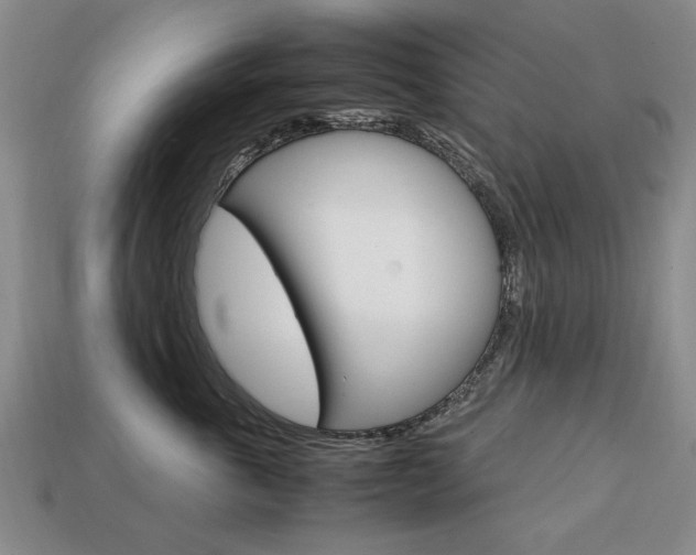 X0000113850763200909241005