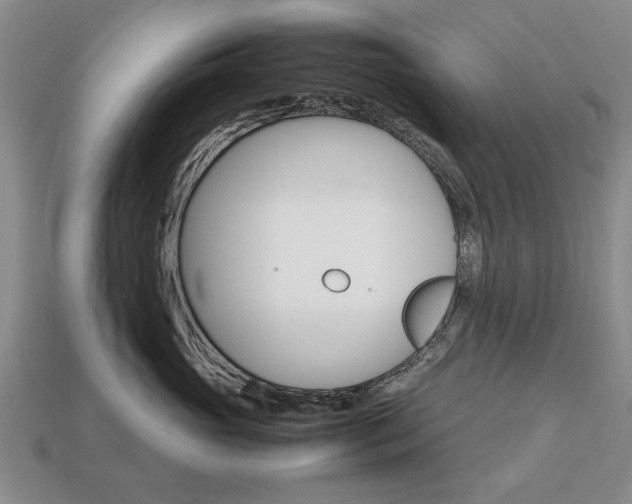 X0000113850765200909241005