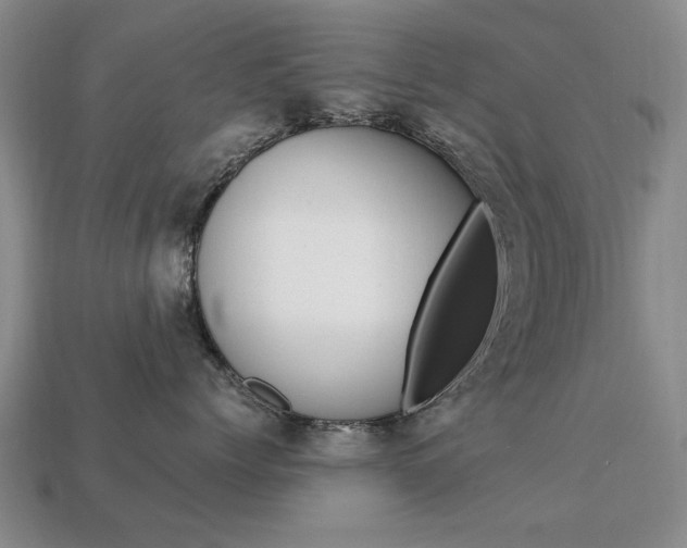 X0000113850768200909241005