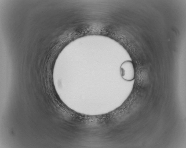 X0000113850769200909241004