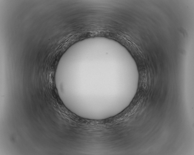 X0000113850770200909241004