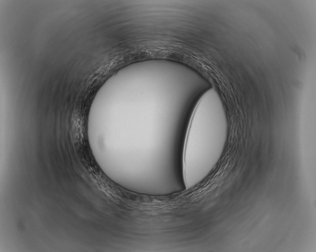 X0000113850772200909241004