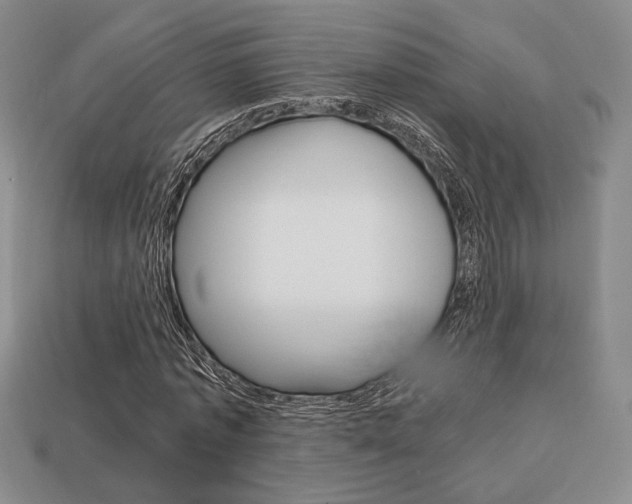 X0000113850773200909241004