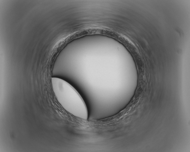 X0000113850775200909241004