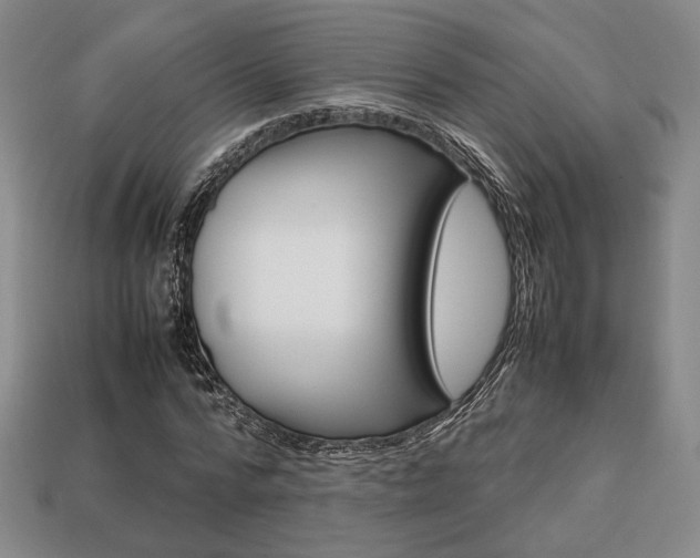 X0000113850776200909241004