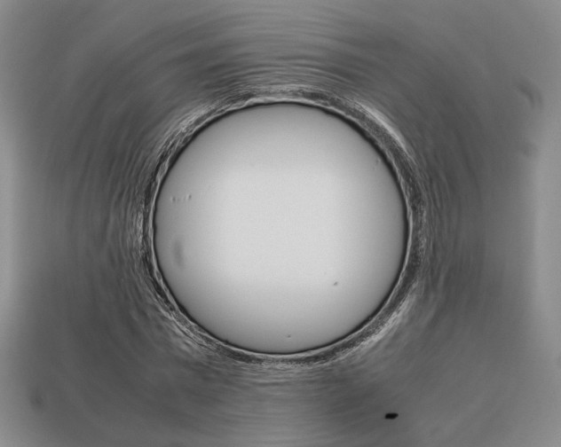 X0000113850777200909241004