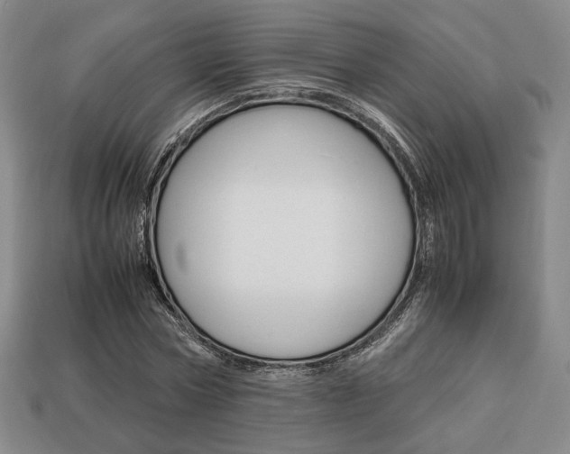 X0000113850778200909241004