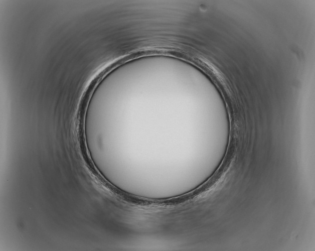 X0000113850779200909241004