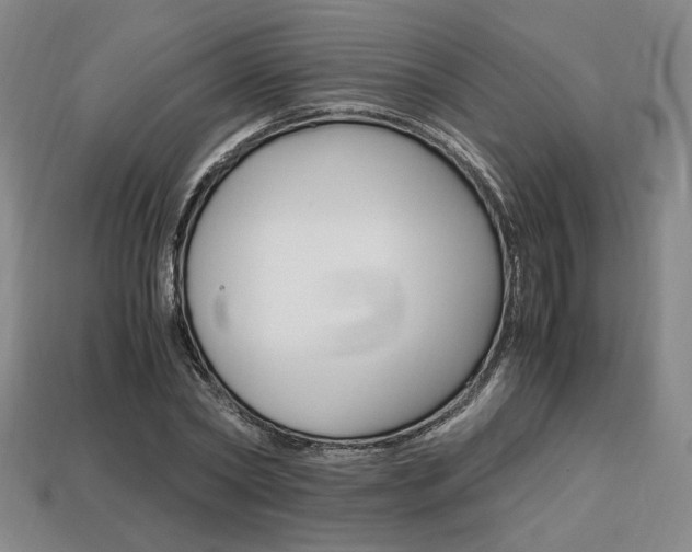 X0000113850782200909241004