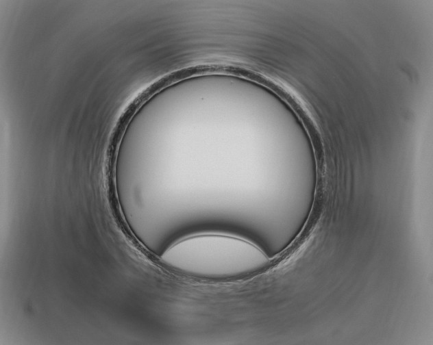 X0000113850783200909241004