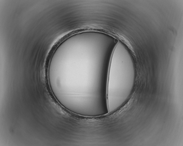 X0000113850784200909241004