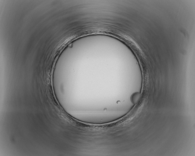 X0000113850785200909241004