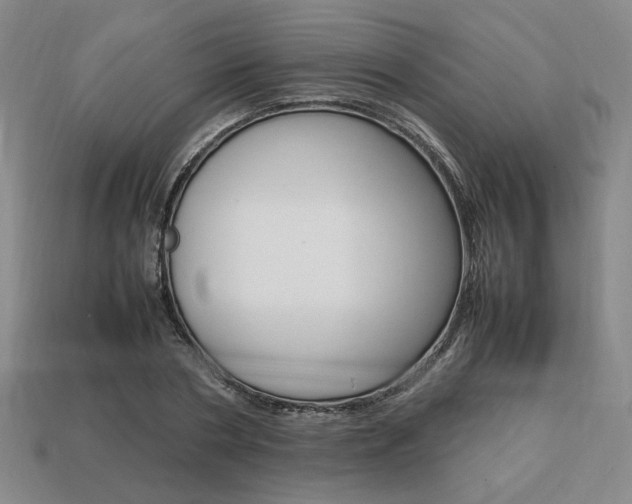 X0000113850786200909241004