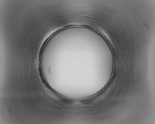 X0000113850787200909241004