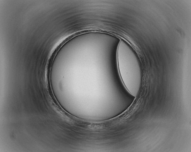X0000113850788200909241004