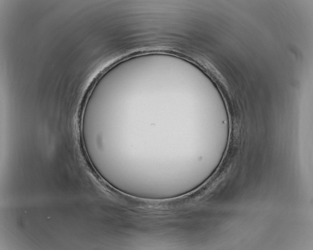 X0000113850789200909241004