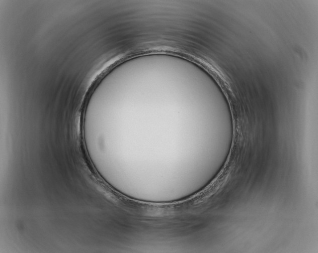 X0000113850790200909241004