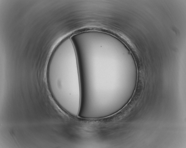X0000113850791200909241004