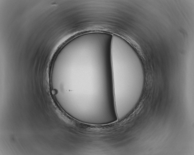 X0000113850792200909241004
