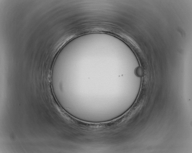 X0000113850793200909241004