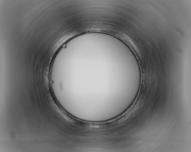 X0000113850794200909241004