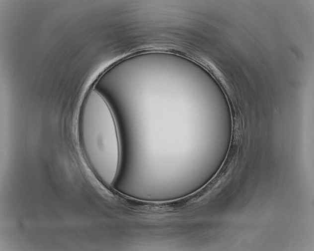 X0000113850795200909241004