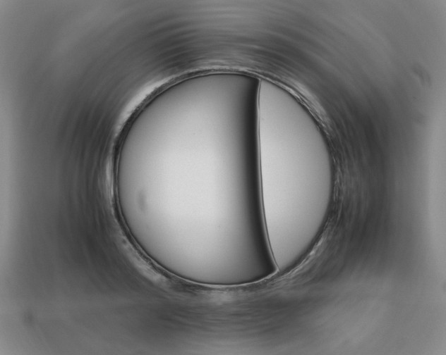 X0000113850796200909241004