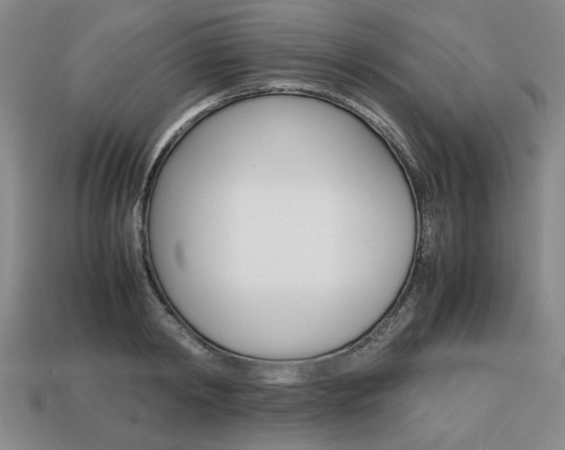 X0000113850798200909241004