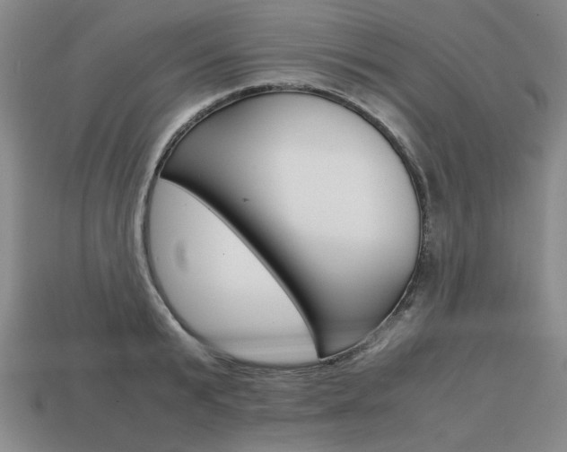 X0000113850799200909241004
