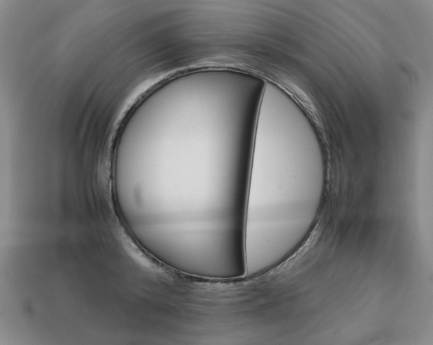 X0000113850800200909241004