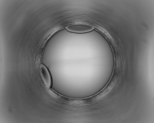 X0000113850801200909241004