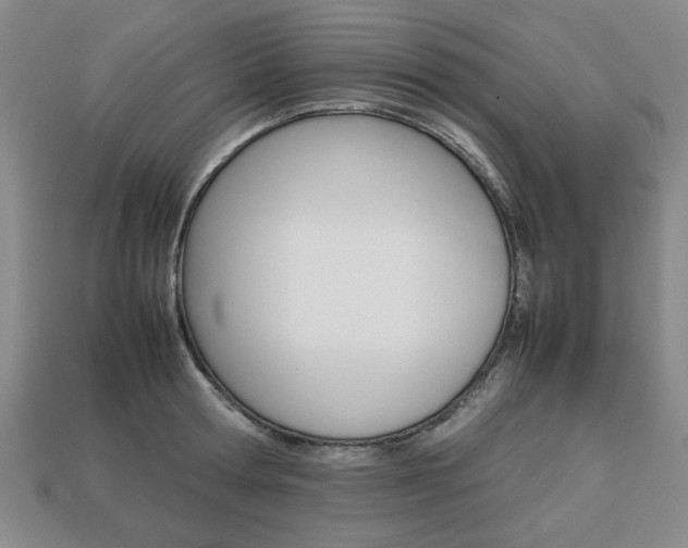 X0000113850802200909241004