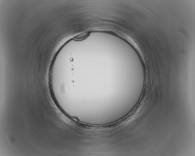 X0000113850803200909241004