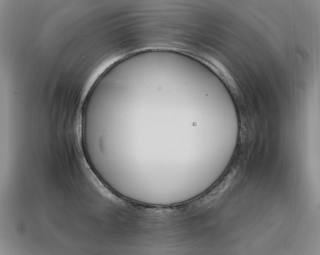 X0000113850804200909241004