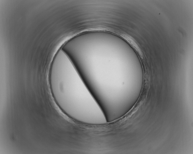 X0000113850805200909241004