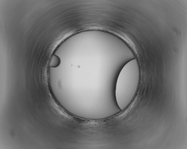 X0000113850806200909241004